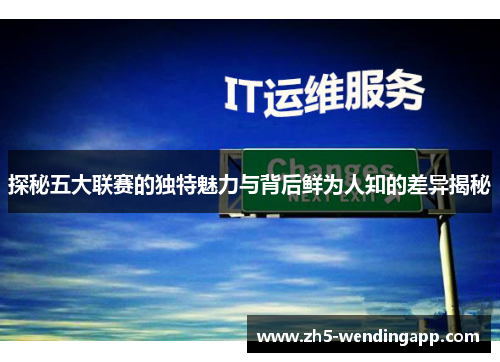 探秘五大联赛的独特魅力与背后鲜为人知的差异揭秘