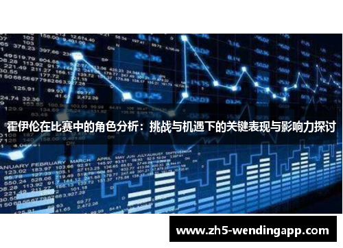 霍伊伦在比赛中的角色分析：挑战与机遇下的关键表现与影响力探讨