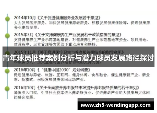 青年球员推荐案例分析与潜力球员发展路径探讨