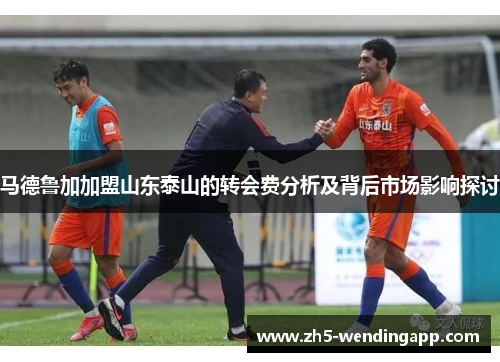 马德鲁加加盟山东泰山的转会费分析及背后市场影响探讨