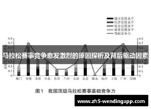 马拉松赛事竞争愈发激烈的原因探析及背后驱动因素
