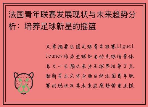 法国青年联赛发展现状与未来趋势分析：培养足球新星的摇篮