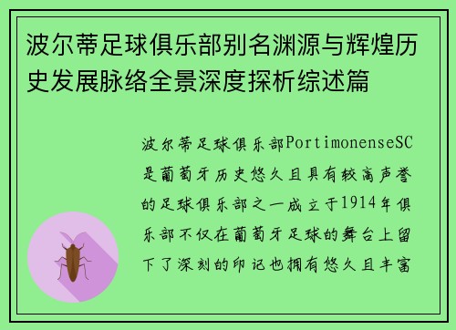 波尔蒂足球俱乐部别名渊源与辉煌历史发展脉络全景深度探析综述篇